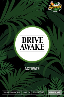 Drive Awake