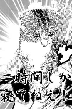 Manga Camera