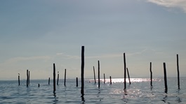 Nokia Lumia 1020