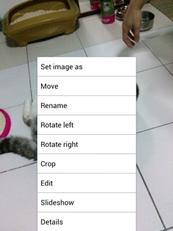 LG Optimus Vu