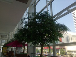 Nokia Lumia 720