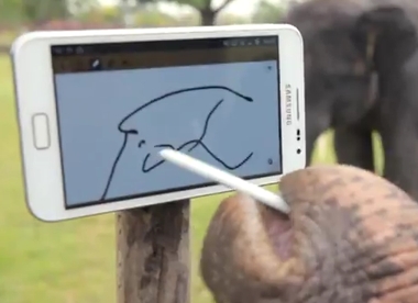 ฉลองยอดขาย Samsung Galaxy Note ครบ 5 ล้านเครื่อง ขนาดช้างยังใช้!