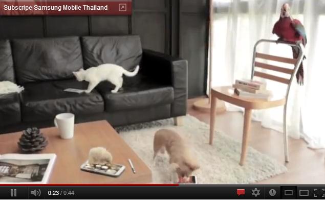อย่าปล่อยสัตว์เลี้ยงกับ Samsung Galaxy Note II ตามลำพัง