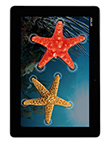 ASUS MeMO Pad FHD 10 LTE
