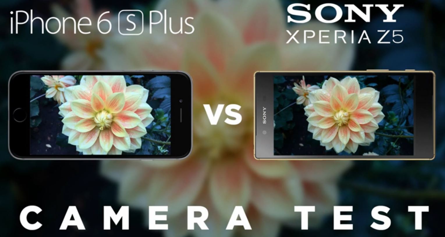 ผู้ท้าชิง เปรียบเทียบระบบกล้อง Apple iPhone 6s Plus ปะทะ Sony Xperia Z5