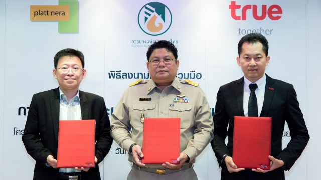 การยางแห่งประเทศไทย ร่วมกับ กลุ่มทรู และ แพลทเนรา ตั้งโครงการศูนย์กลางข้อมูลข่าวสารยางพารา
