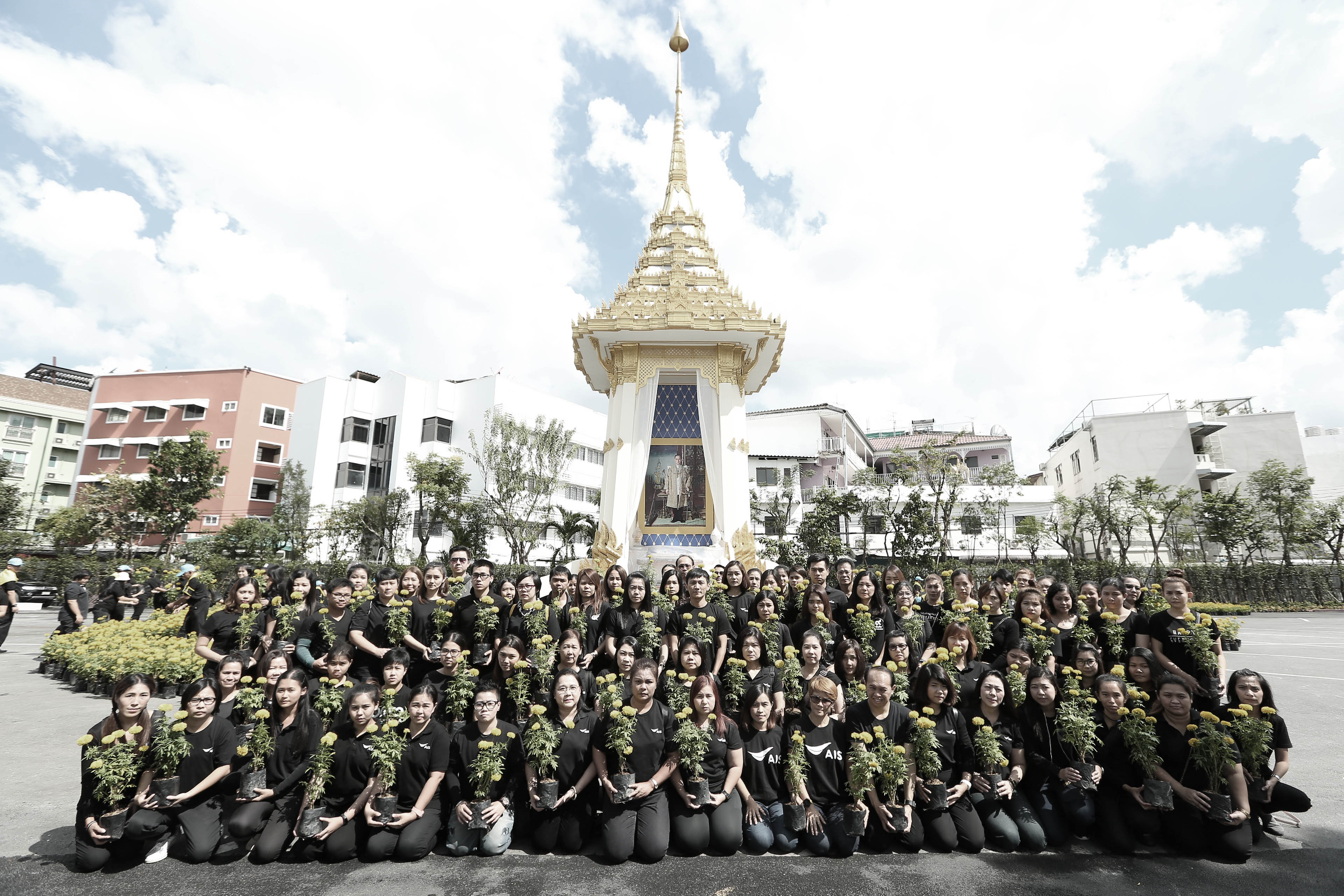 AIS นำพนักงานร่วมทำกิจกรรมเพื่อพ่อ ประดับต้นไม้ และดอกไม้ ที่พระเมรุมาศจำลอง ให้สวยงามและสมพระเกียรติ