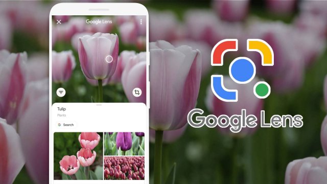 Google Lens แค่ยกกล้องมือถือขึ้นมาถ่าย ก็ช่วยให้ชีวิตง่ายขึ้น