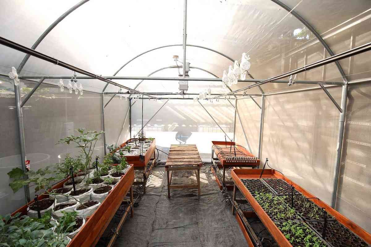 ais farmsuk x uncle ree's farm
