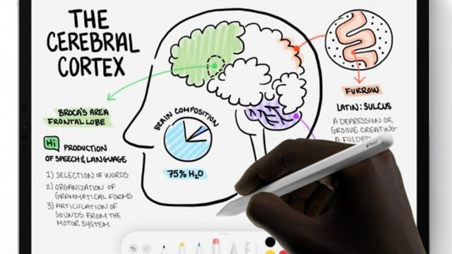 Apple เตรียมพัฒนา Apple Pencil ให้รองรับ Touch Gesture