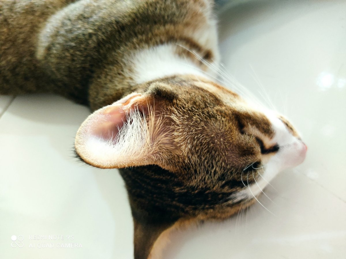Redmi Note 9S