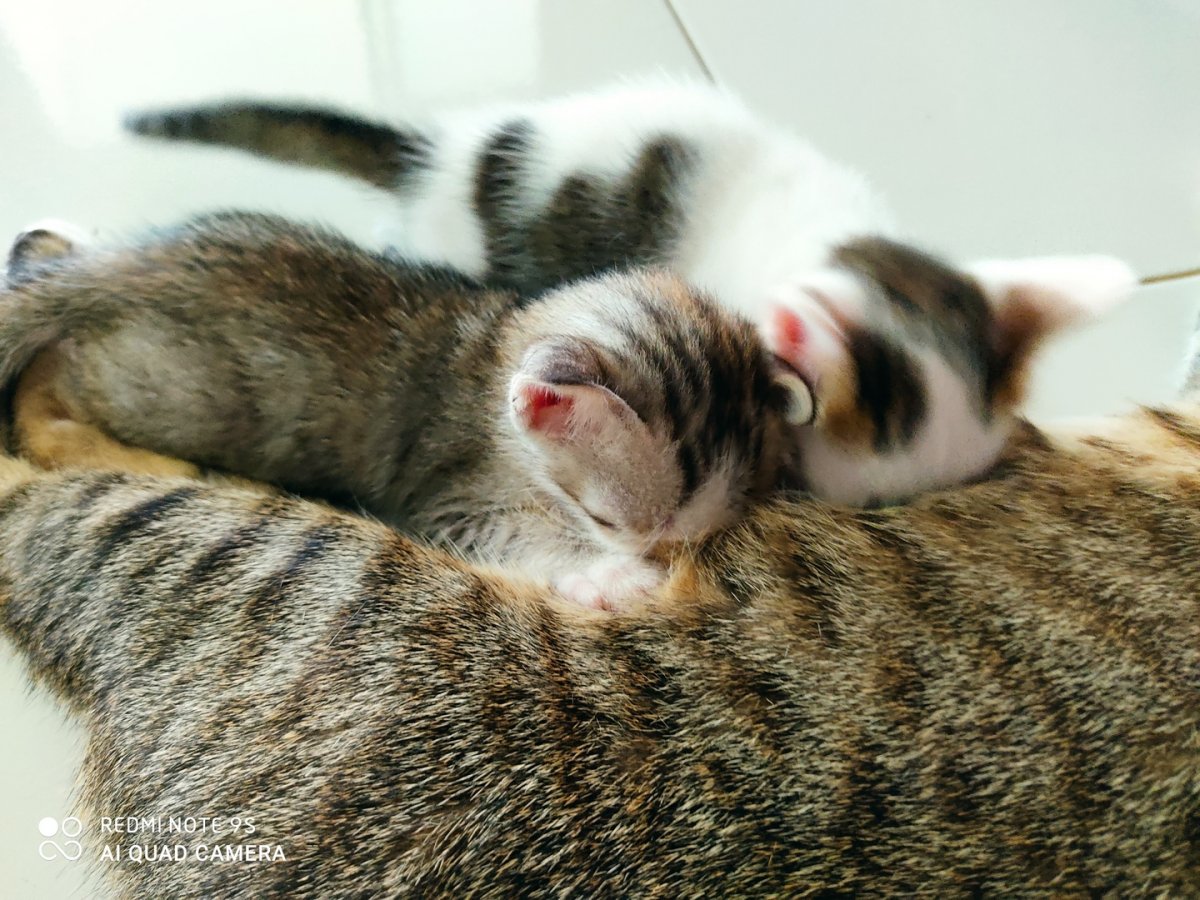 Redmi Note 9S