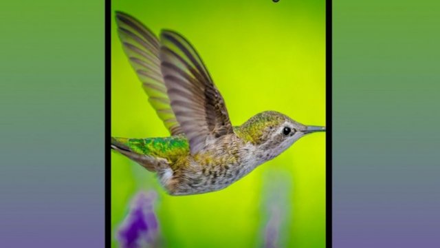 เผยเรนเดอร์ Samsung Galaxy Fold 2 ใช้ดีไซน์จอแบบเจาะรู