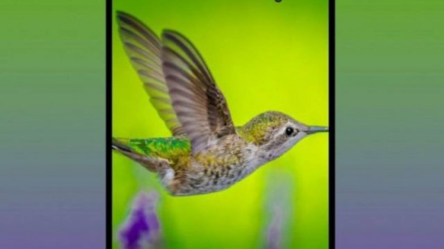 Samsung มีแผนเปิดตัว Galaxy Fold Lite ช่วงต้นปี 2021