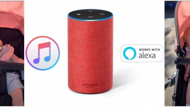 เห็นแม่เรียกบ่อย! หนูน้อยวัย 11 เดือน สับสนหนักนึกว่าตัวเองชื่อ “Alexa”