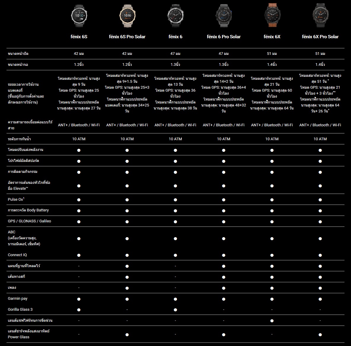 Garmin fenix 6