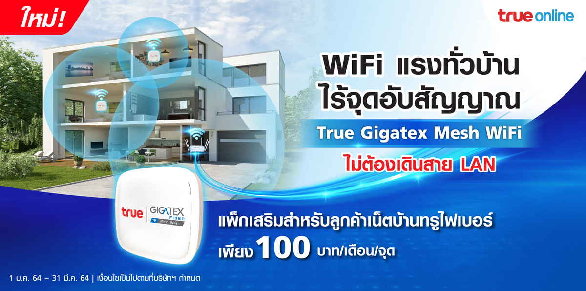 True Gigatex Smart Plus 1,000 Mbps