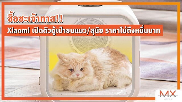 ซื้อซะเจ้าทาส!! Xiaomi เปิดตัวตู้เป่าขนแมว/สุนัข ราคาไม่ถึงหมื่นบาท