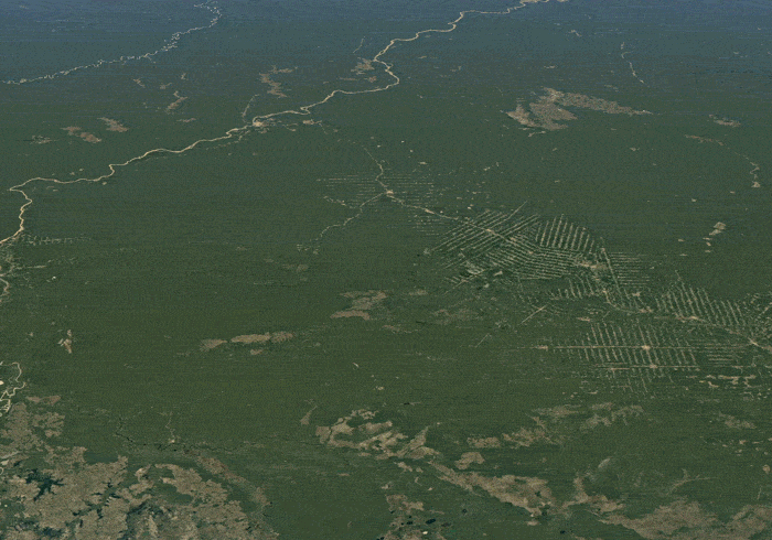 Google Earth