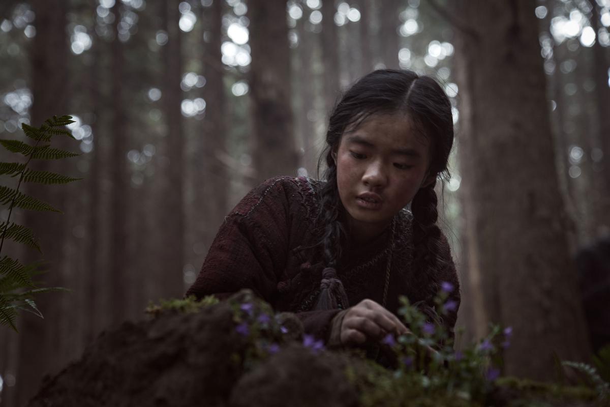 ผีดิบคลั่ง บัลลังก์เดือด: อาชินแห่งเผ่าเหนือ (Kingdom: Ashin of the North)