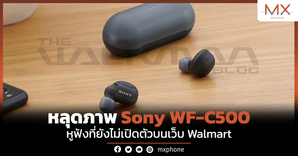 Sony WF-C500