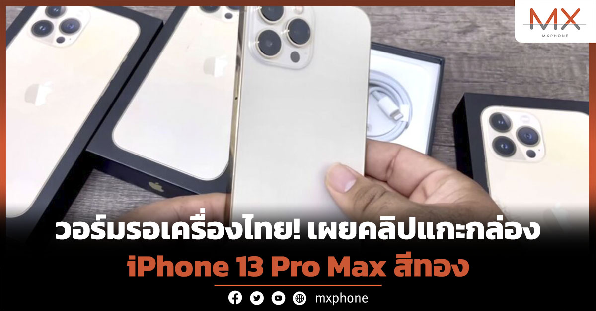 iPhone 13 Pro Max