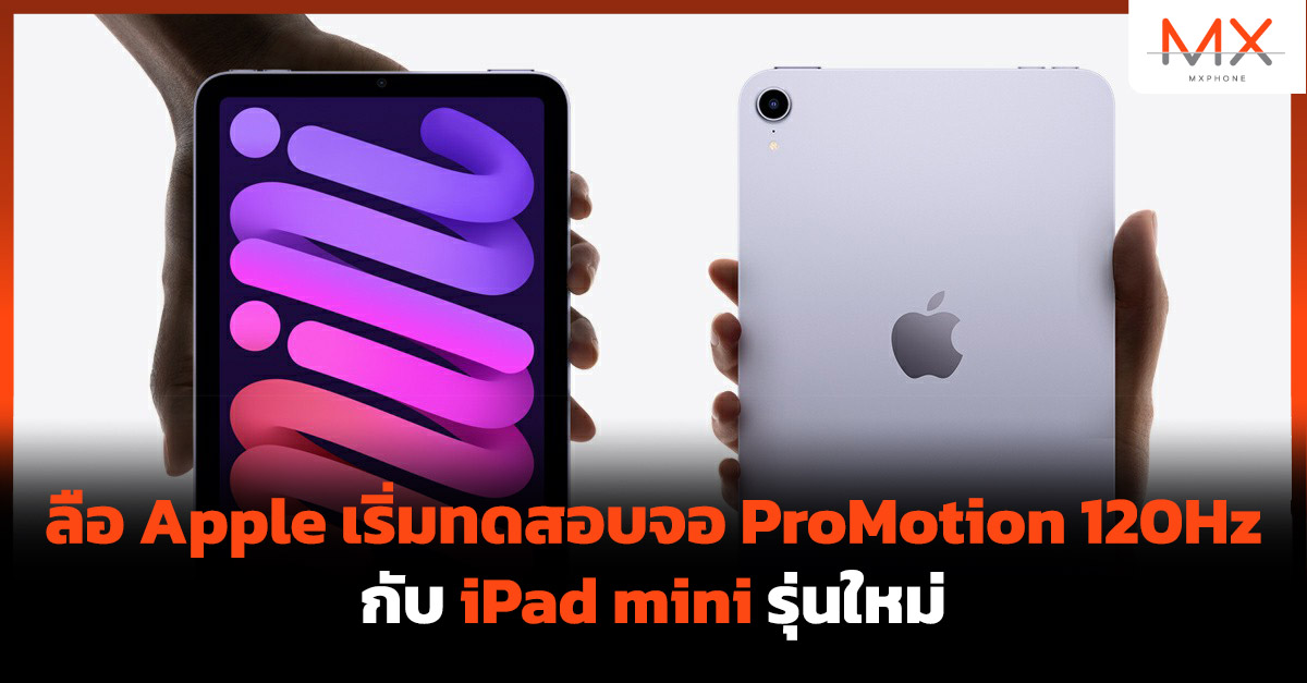 iPad mini