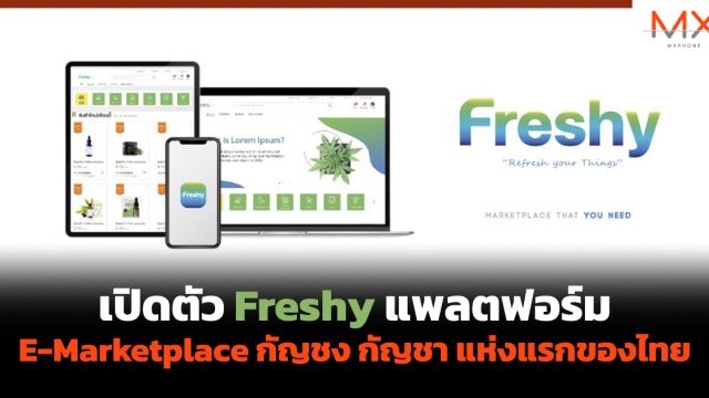 เปิดตัว Freshy แพลตฟอร์ม E-Marketplace กัญชง กัญชา แห่งแรกของไทย