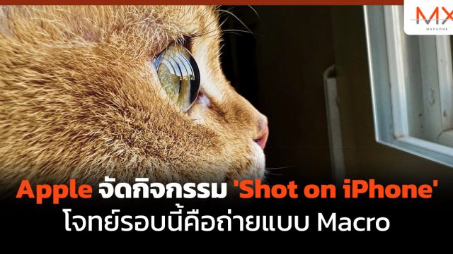 Apple จัดกิจกรรม ‘Shot on iPhone’ โจทย์รอบนี้คือถ่ายแบบ Macro