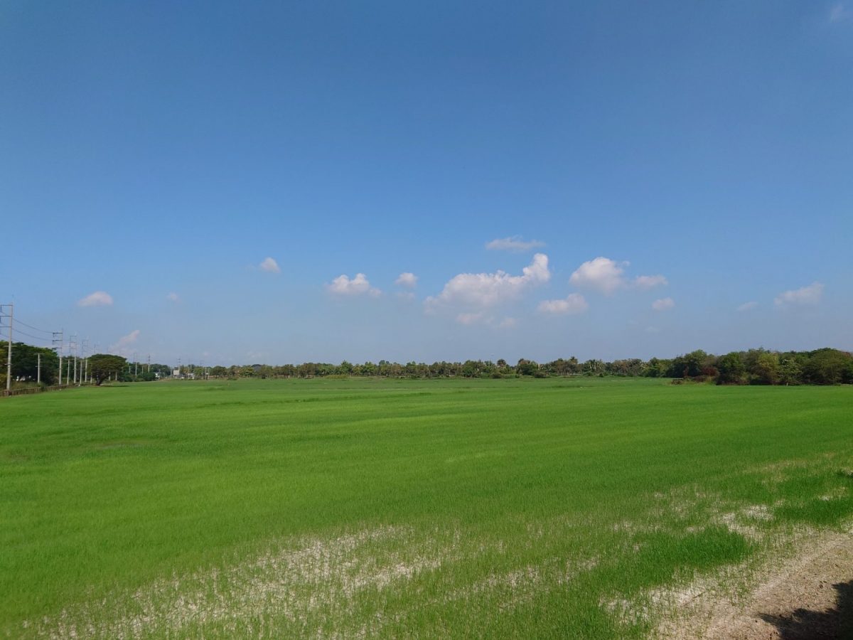 รีวิว Sony Xperia PRO-I