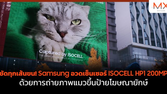 ชัดทุกเส้นขน! Samsung อวดเซ็นเซอร์ ISOCELL HP1 200MP ด้วยการถ่ายภาพแมวขึ้นป้ายโฆษณายักษ์