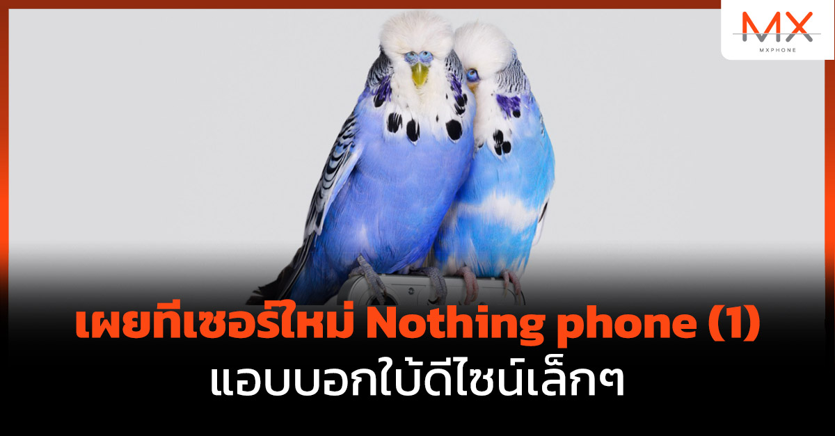Nothing phone (1)