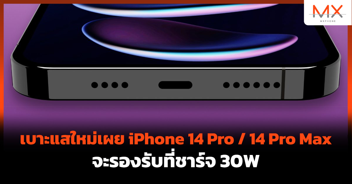 iPhone 14 Pro Max 30W