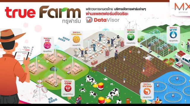 ทรู ดิจิทัล เปิดตัว “True Farm” เทคโนโลยีการเกษตรอัจฉริยะครบวงจร ครบเครื่องทุกเรื่องเกษตรทั้ง พืช ปศุสัตว์ และประมง