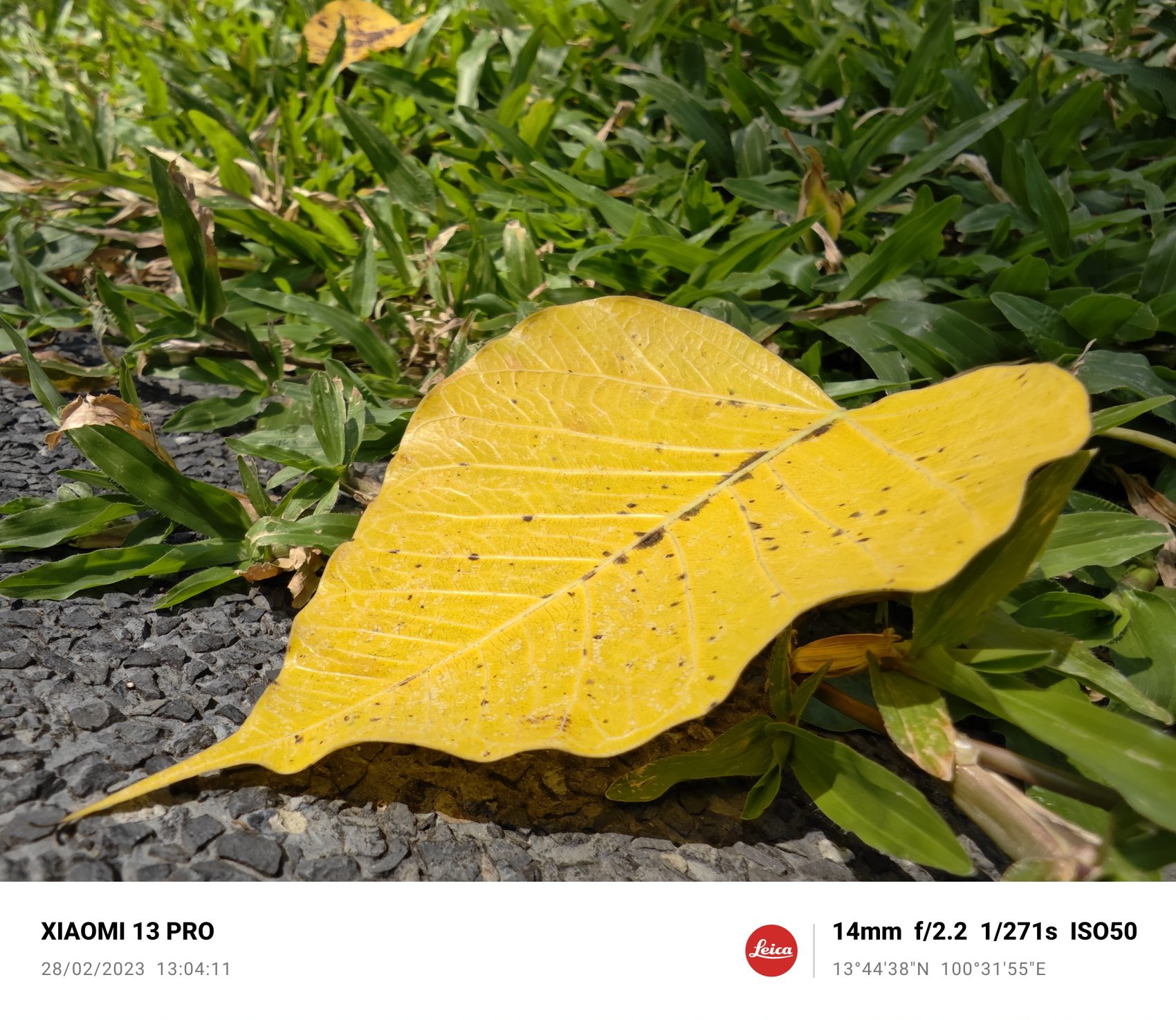 Xiaomi 13 Pro รีวิว
