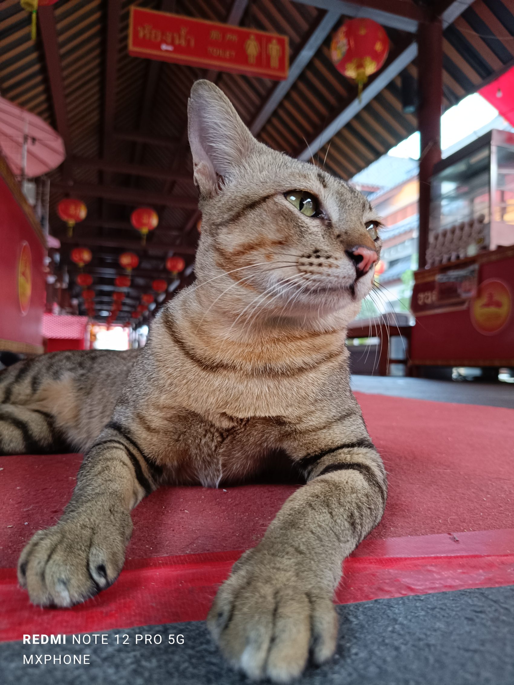 Redmi Note 12 Pro 5G รีวิว