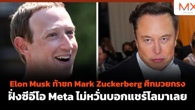 Elon Musk ท้าชก Mark Zuckerberg ศึกมวยกรง ฝั่งซีอีโอ Meta ไม่หวั่นบอกแชร์โลมาเลย