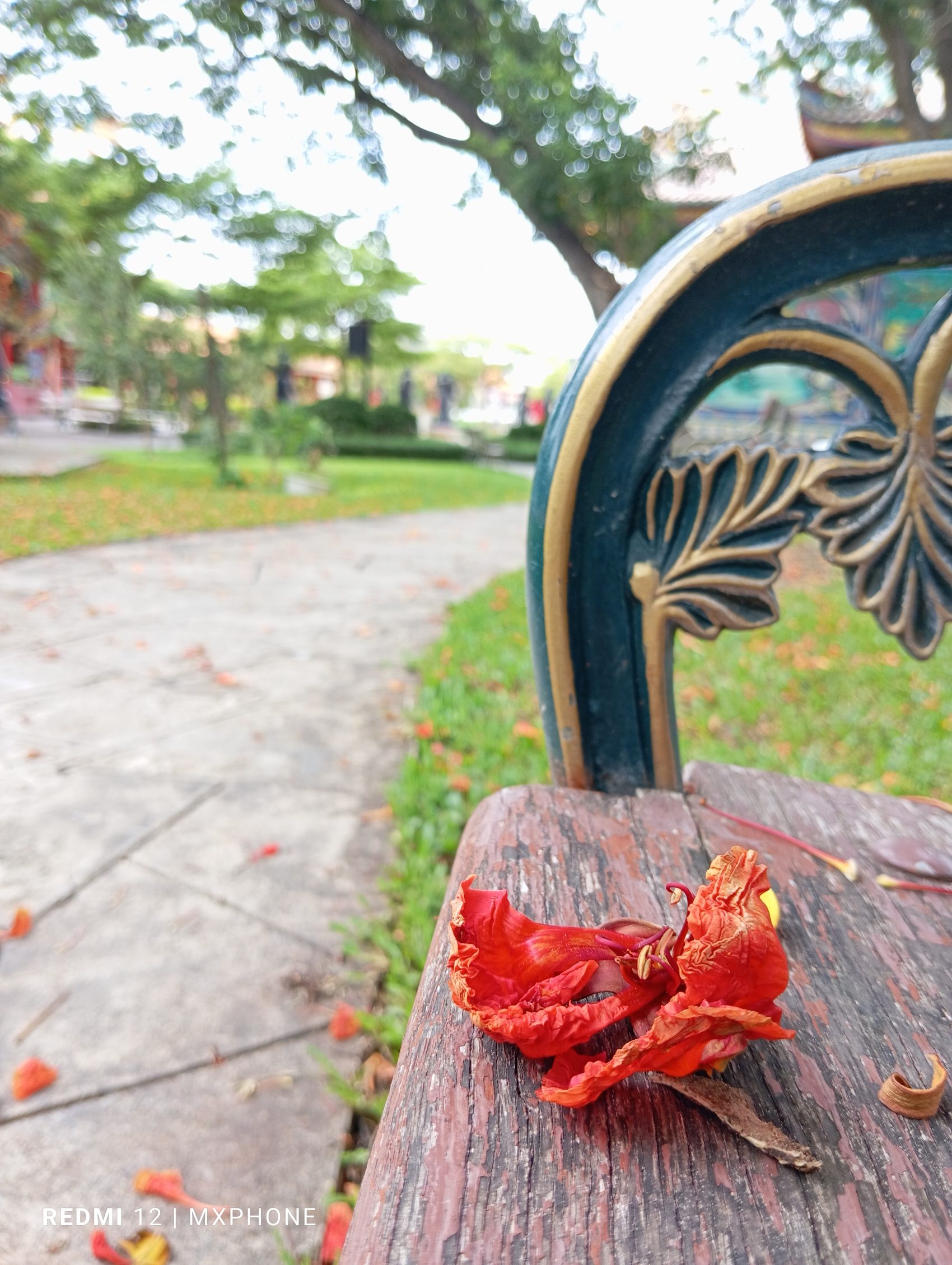 Redmi 12 รีวิว