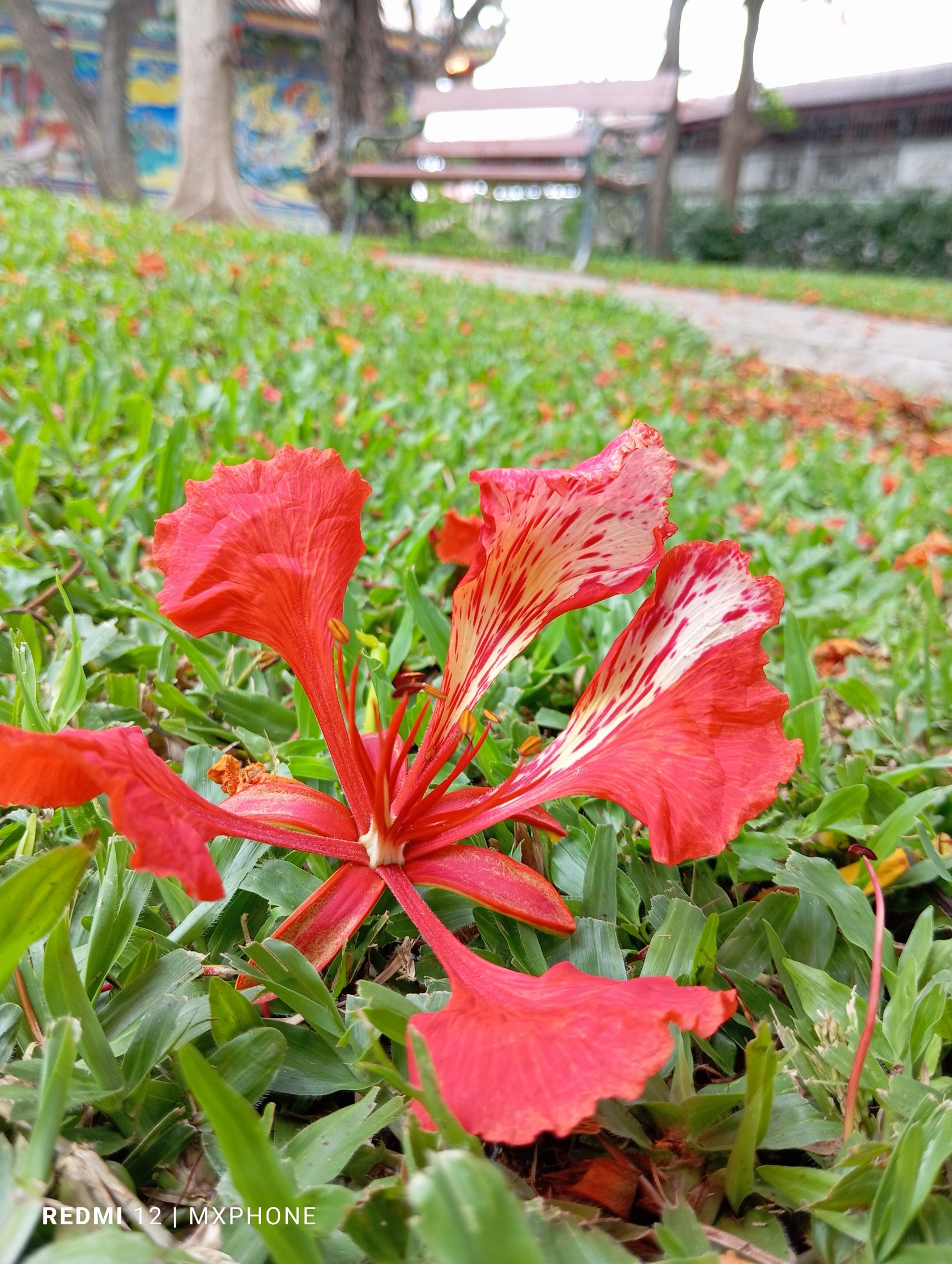 Redmi 12 รีวิว