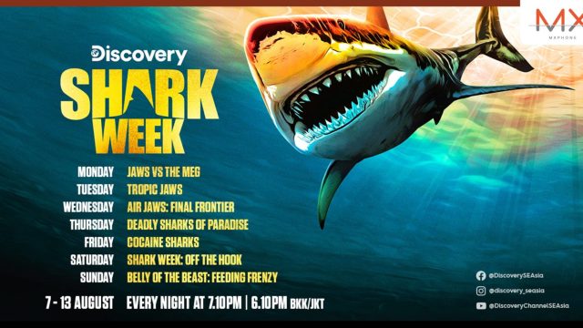 เตรียมพบกับเจสัน โมโมอา ใน Shark Week ทาง Discovery Channel