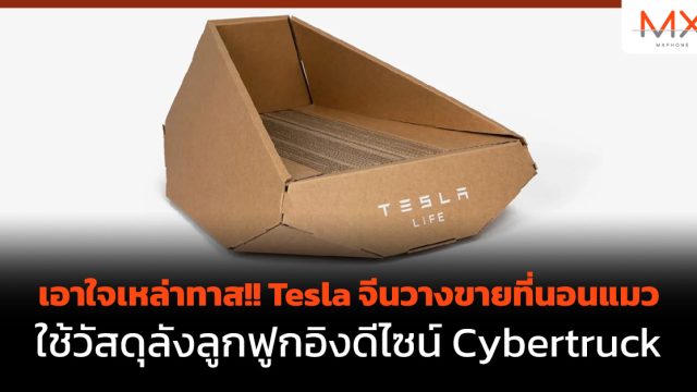เอาใจเหล่าทาส!! Tesla จีนวางขายที่นอนแมวใช้วัสดุลังลูกฟูกอิงดีไซน์ Cybertruck
