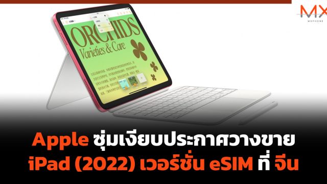Apple ซุ่มเงียบประกาศวางขาย iPad (2022) เวอร์ชั่น eSIM ที่ จีน