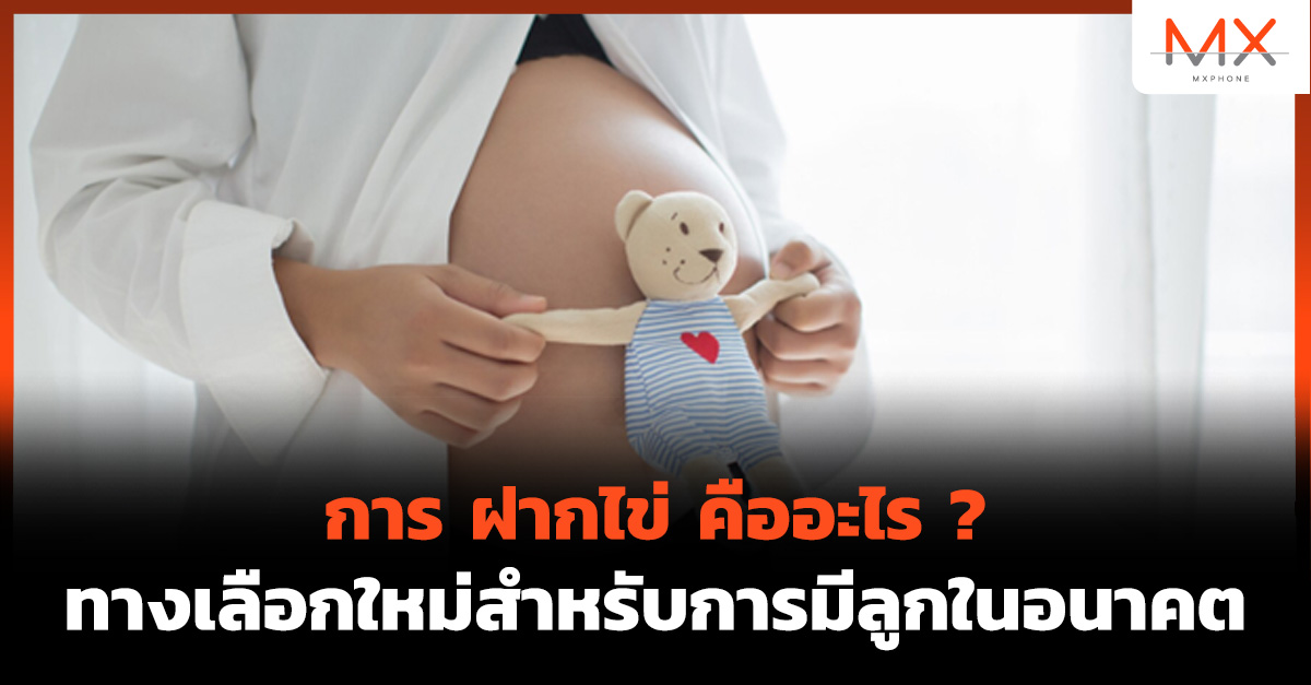 ฝากไข่ คือ