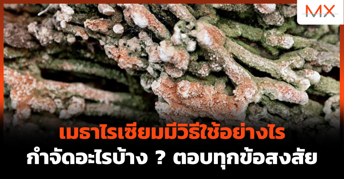 เมธาไรเซียม วิธีใช้