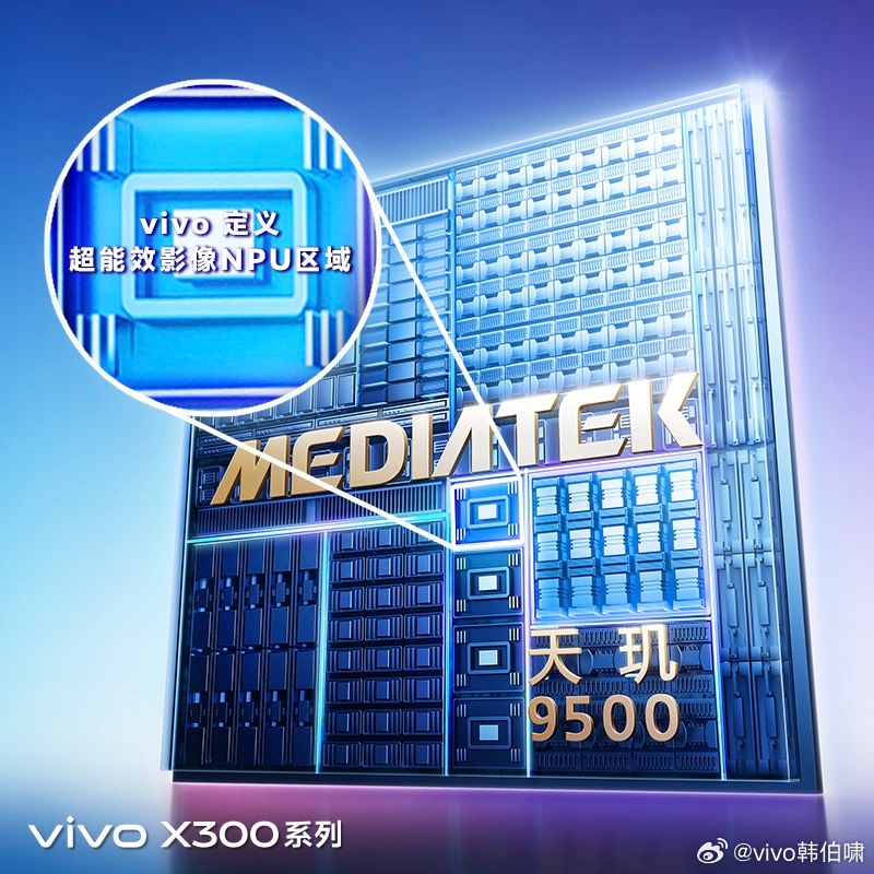 vivo X300