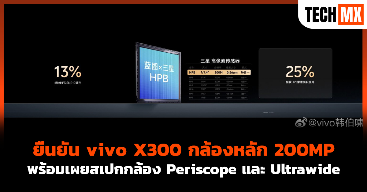 vivo X300