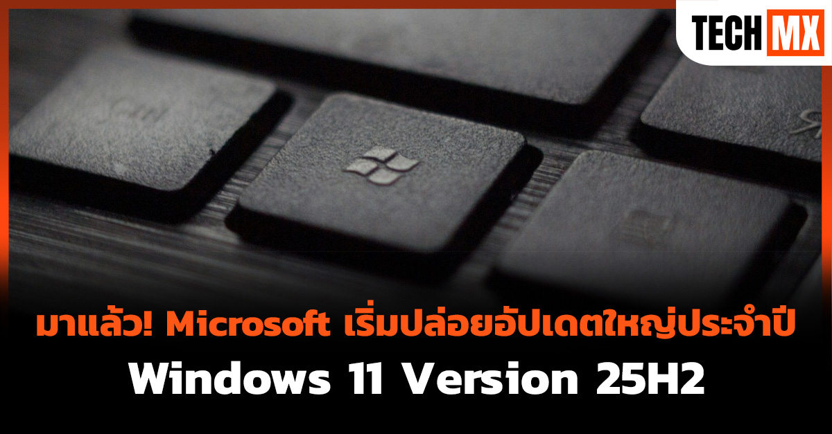 Windows 11