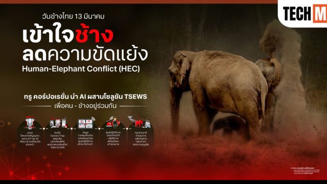 ทรู ใช้ AI ผสานระบบ TSEWS เพิ่มความแม่นยำ “เข้าใจช้าง” ลดความขัดแย้งคน–ช้างป่า เนื่องในวันช้างไทย 13 มีนาคม