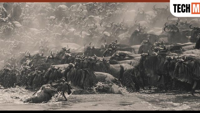 เอปสัน เปิดเวทีประกวดภาพถ่ายพาโนรามาระดับโลก “Epson International Pano Awards” ครั้งที่ 17