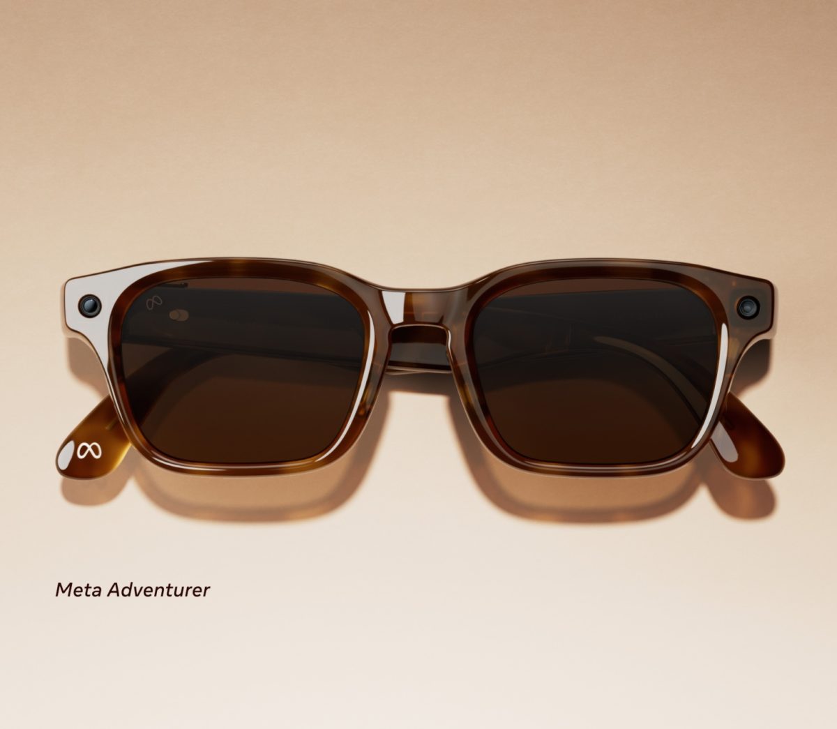 Meta Glasses